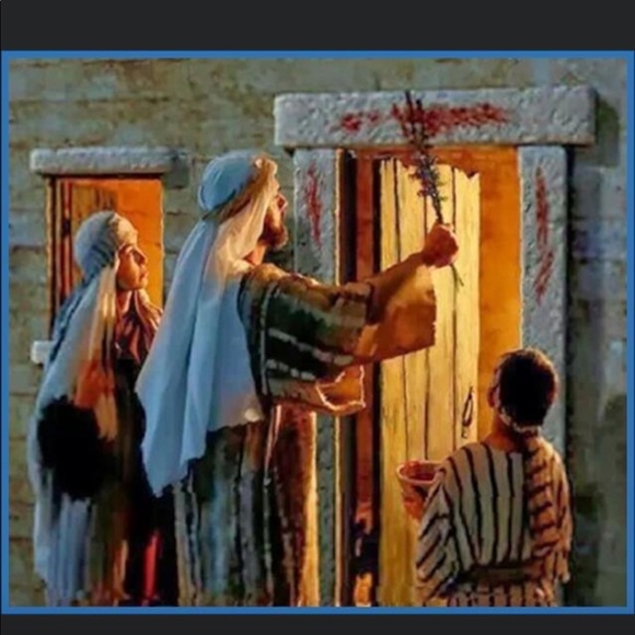 abbasgirl65